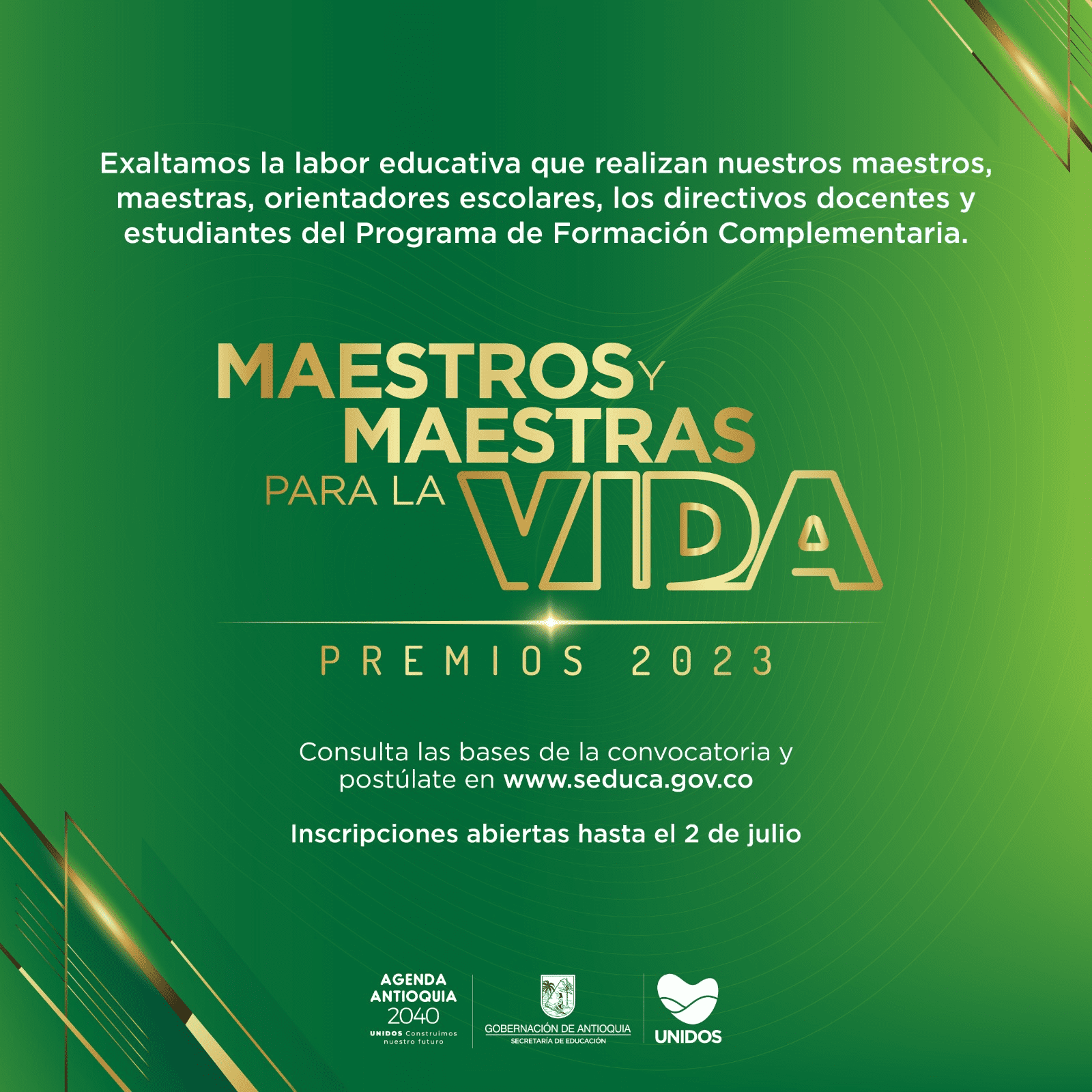 ok premios maestros 2023 ok ok