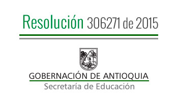 Resolucion 306271