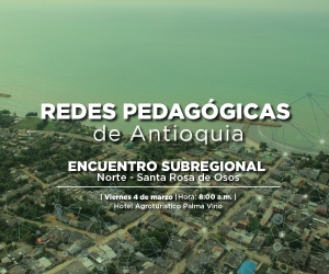 Encuentro subregional de las Redes Pedagógicas en la subregión Norte